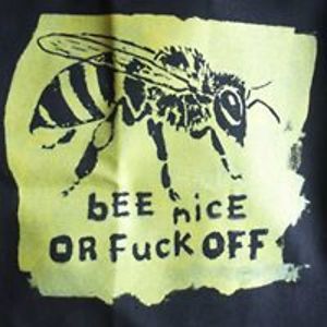 amanda_bridle avatar