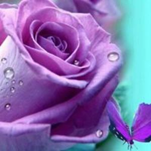 chrystal_walker avatar