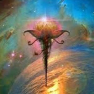 goldenrosetemple avatar