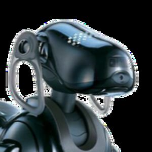 davidwilliams_1 avatar