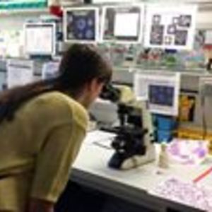 tamara_paunovic avatar