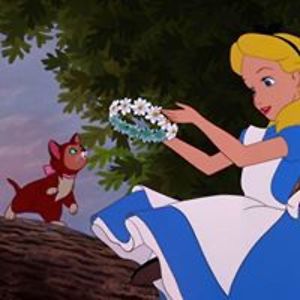 silverseeddesigns avatar