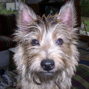 kevindoneganpdx avatar