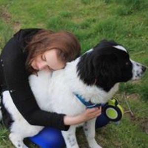 confuzzlewhiffle avatar