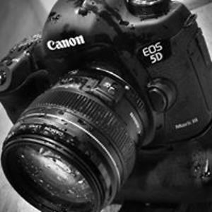 bmichaelsalbo avatar