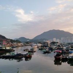 janepclam2011 avatar