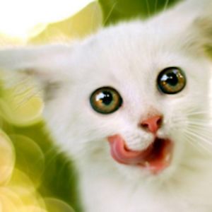 ceceventicinc avatar