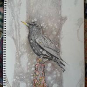 marlenepodetz0 avatar