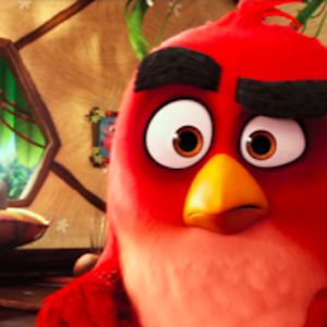 2021dako_mayb avatar