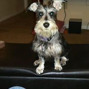 barefootcajun avatar