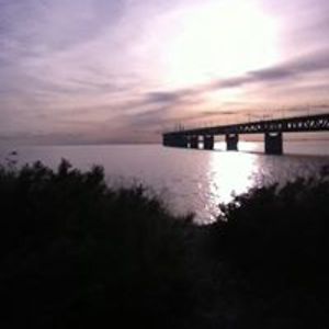 piluttatingeling avatar