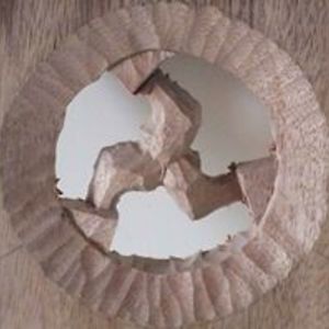 botreecarvings avatar