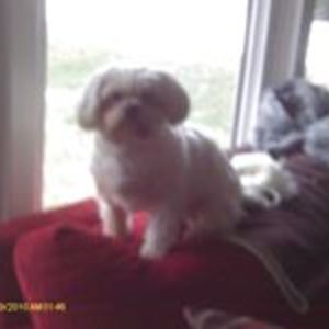 moniquecarriere123 avatar