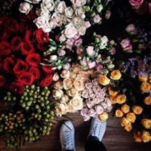 trinhbakhanh1990 avatar