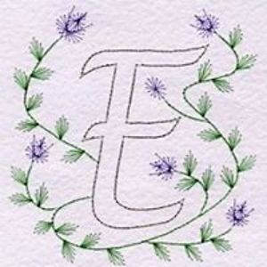 carlaenerikvandenberg avatar