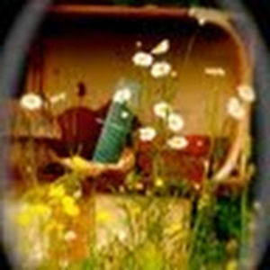 cathyvincevic avatar