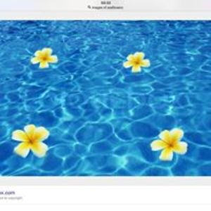 alternate_salt avatar