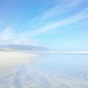 colinrobertson avatar