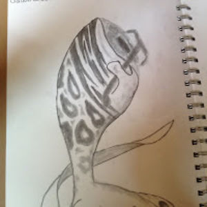 sofiazvolanek avatar