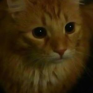 marcismithler avatar