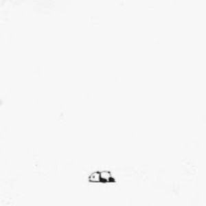 barboraszulcov avatar