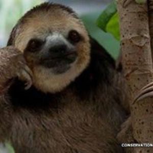 johanna_c_white avatar