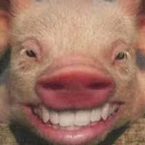 paulyincorrect avatar