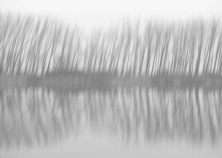 Same Theme - Different Results