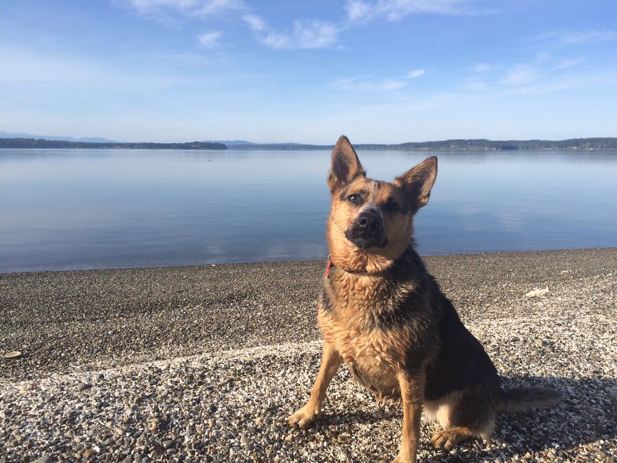 My Best Moments Are With My Best Friend, Cayote. My Best Moments Are With My Best Friend, Cayote.