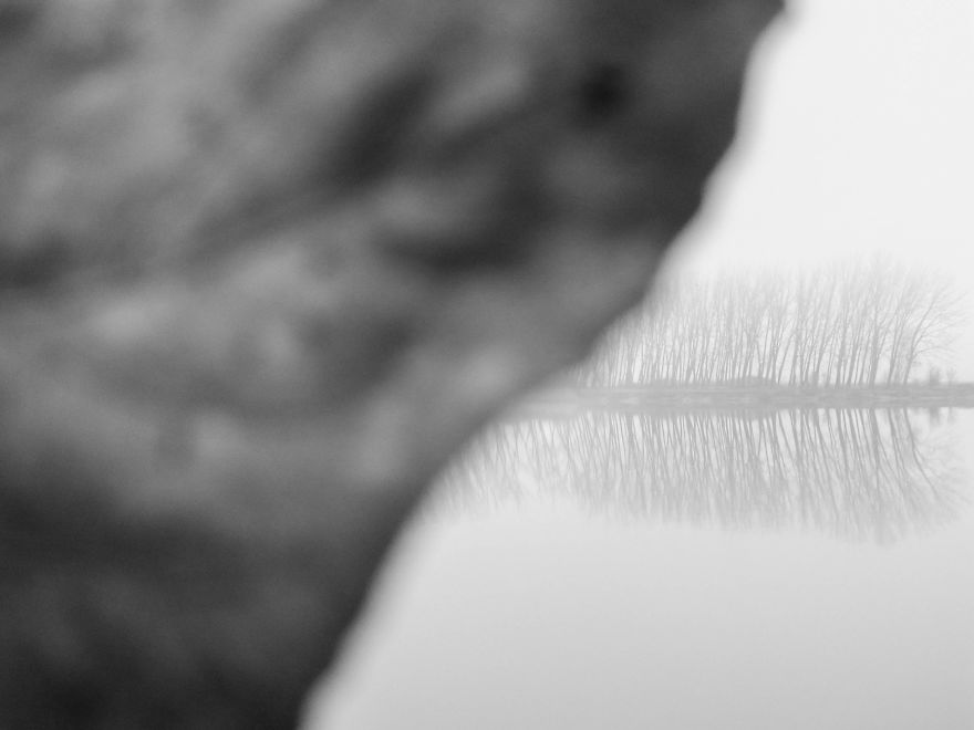 Same Theme - Different Results