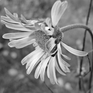 lifeloveandphotograph avatar