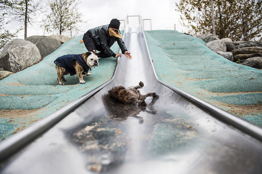 We Want To Show That Dogs Are Equal Part Of Our Community We Want To Show That Dogs Are Equal Part Of Our Community