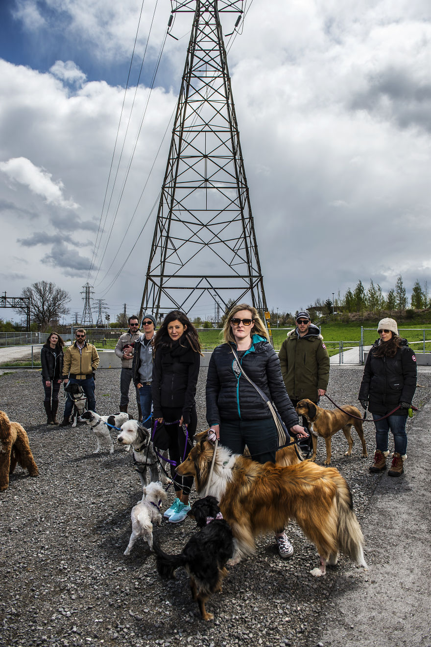 We Want To Show That Dogs Are Equal Part Of Our Community We Want To Show That Dogs Are Equal Part Of Our Community