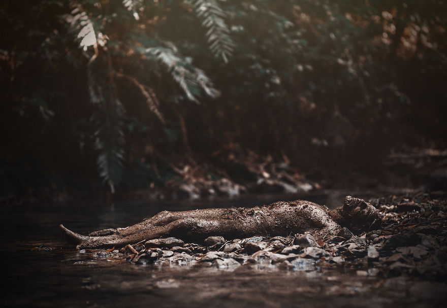 I Re-created The Biblical Story Of Adam And Eve