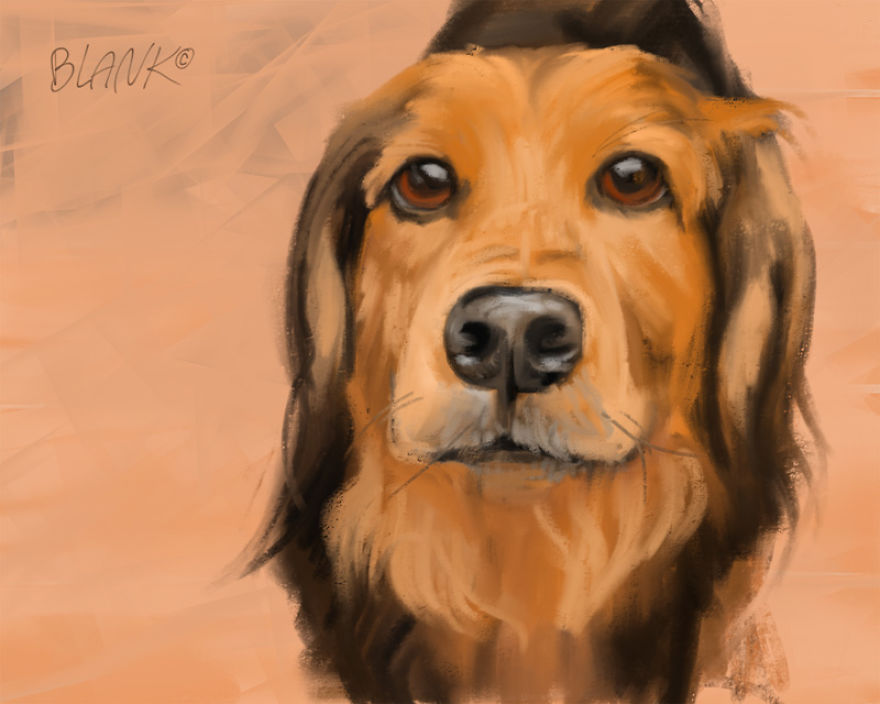 Since I Can't Have Pets, I Draw Them Instead