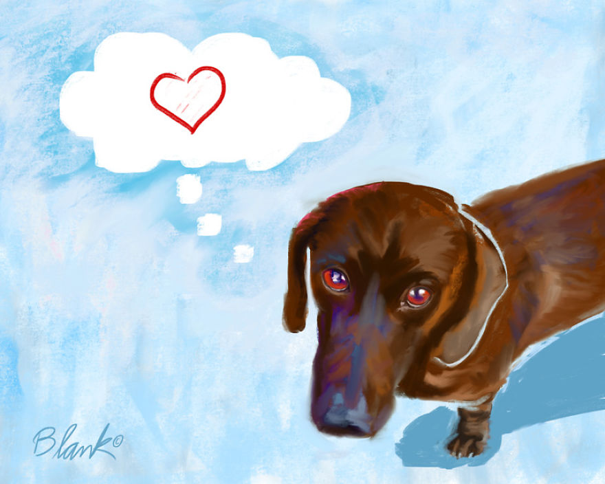 Since I Can't Have Pets, I Draw Them Instead