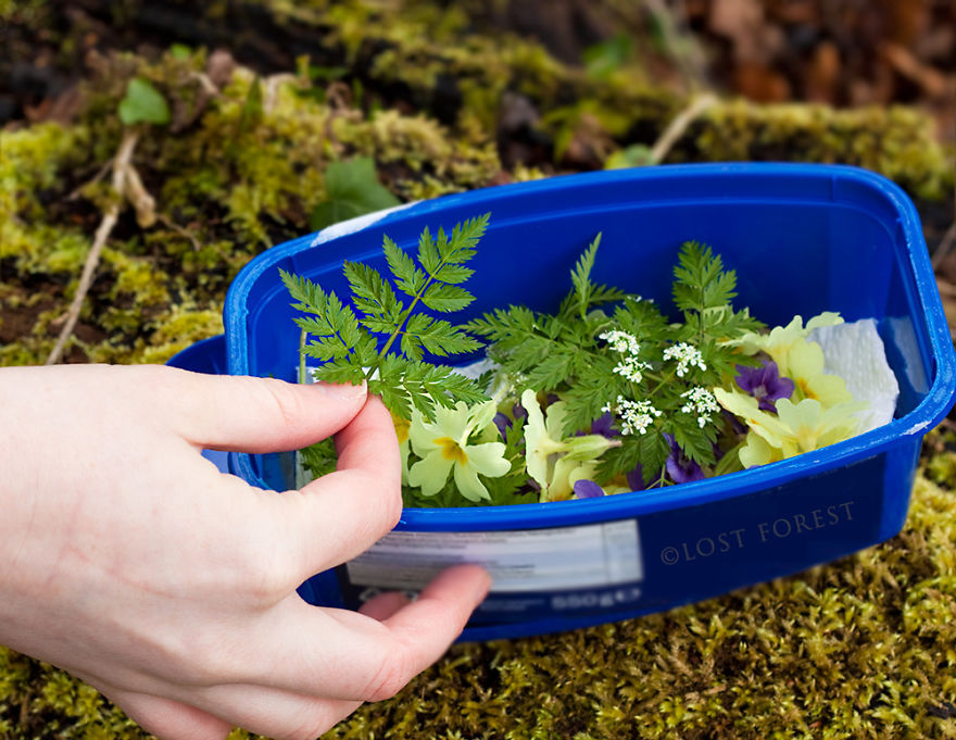 I Handpick Flowers From Irish Woodlands To Transform Them Into Beautiful Jewelry Pieces