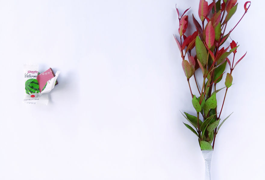 I Use Colorful Objects Around Home To Channel My Creative Concepts I Use Colorful Objects Around Home To Channel My Creative Concepts