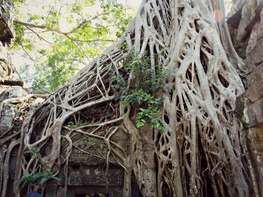 4 Years Ago, I Left The U.s. To Explore The World. These 35 Photos Showcase My Experience 4 Years Ago, I Left The U.s. To Explore The World. These 35 Photos Showcase My Experience