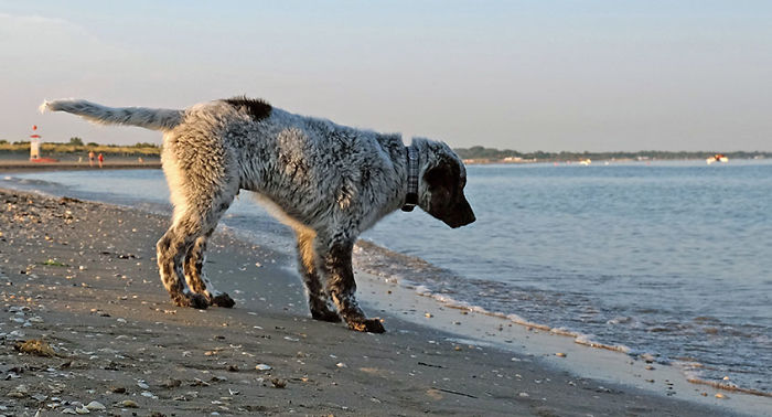 The First Time At The Sea