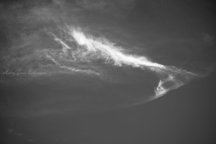 Capturing The Consciousness & The Rhythm Of Love