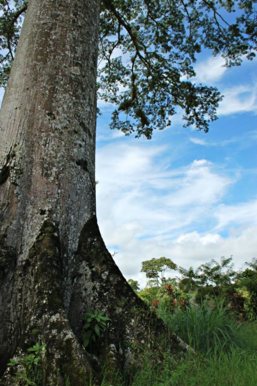 4 Years Ago, I Left The U.s. To Explore The World. These 35 Photos Showcase My Experience 4 Years Ago, I Left The U.s. To Explore The World. These 35 Photos Showcase My Experience