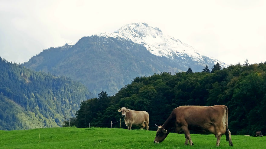 I Photograph Beautiful Landscapes In Switzerland