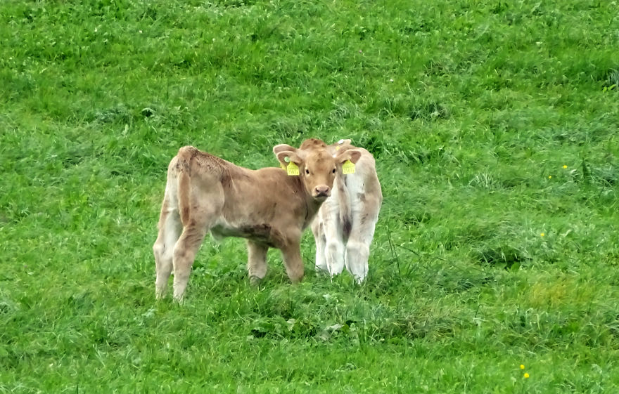 I Photograph Beautiful Landscapes In Switzerland