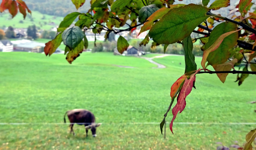 I Photograph Beautiful Landscapes In Switzerland