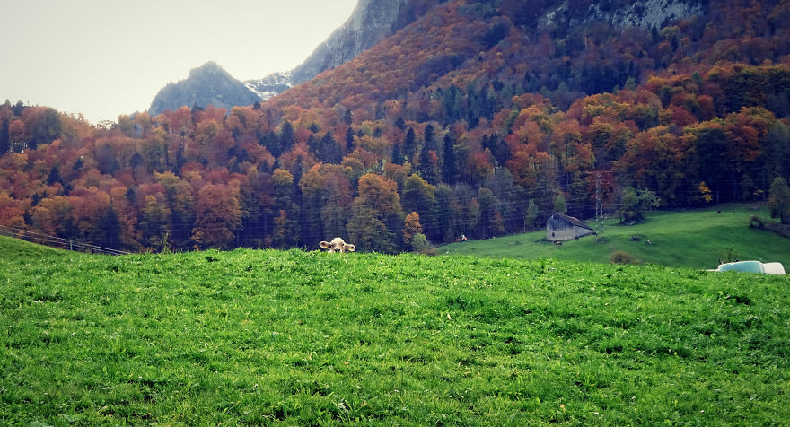I Photograph Beautiful Landscapes In Switzerland