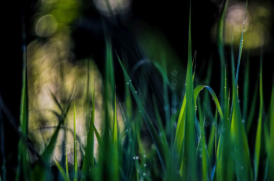 I Lurk Around The House Photographing The Little Things