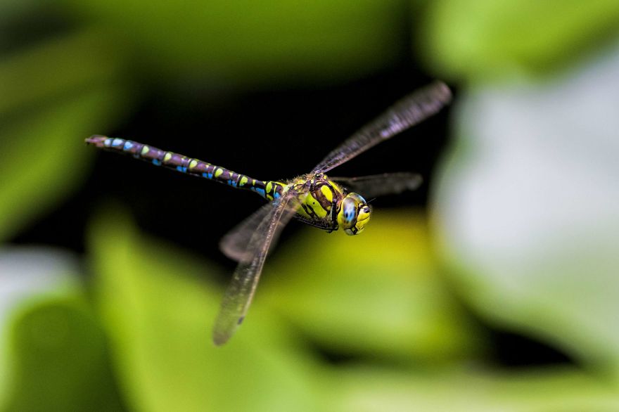 I Lurk Around The House Photographing The Little Things