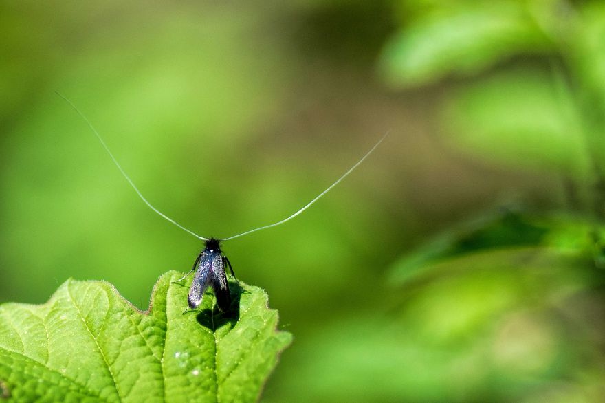 I Lurk Around The House Photographing The Little Things