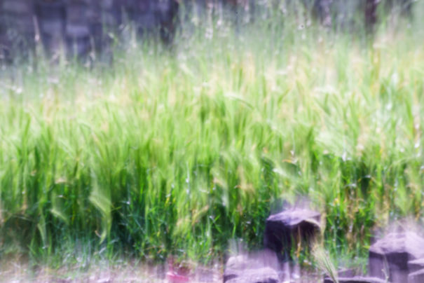 Thought It'd Be Fast But Took With 1/10